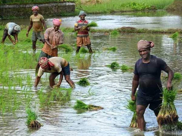 వ్యవసాయ రంగంలో ఆర్థిక ఇబ్బందులు